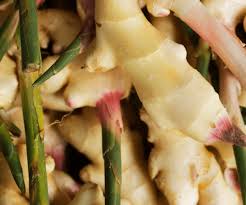 Thai Ginger